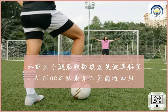 加斯利小腿筋膜撕裂后复健遇瓶颈，Alpine车队表示八月前难回归