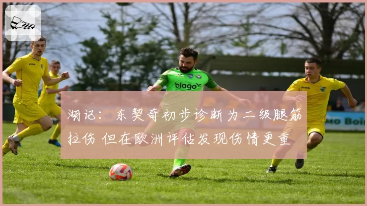 湖记：东契奇初步诊断为二级腿筋拉伤 但在欧洲评估发现伤情更重