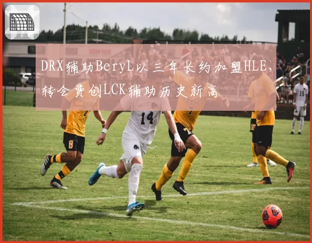 DRX辅助BeryL以三年长约加盟HLE，转会费创LCK辅助历史新高