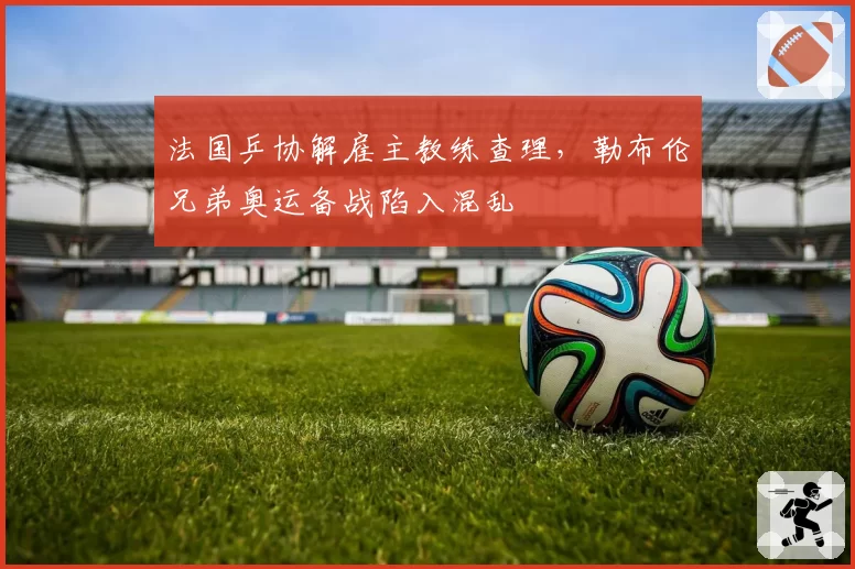 法国乒协解雇主教练查理,勒布伦兄弟奥运备战陷入混乱