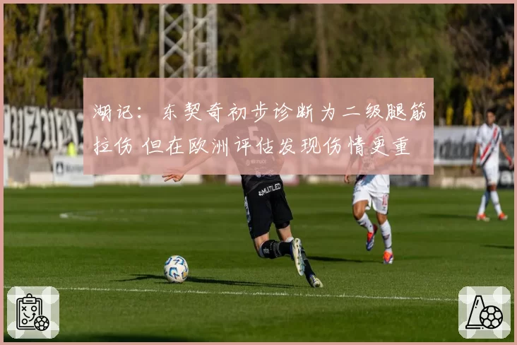 湖记：东契奇初步诊断为二级腿筋拉伤 但在欧洲评估发现伤情更重
