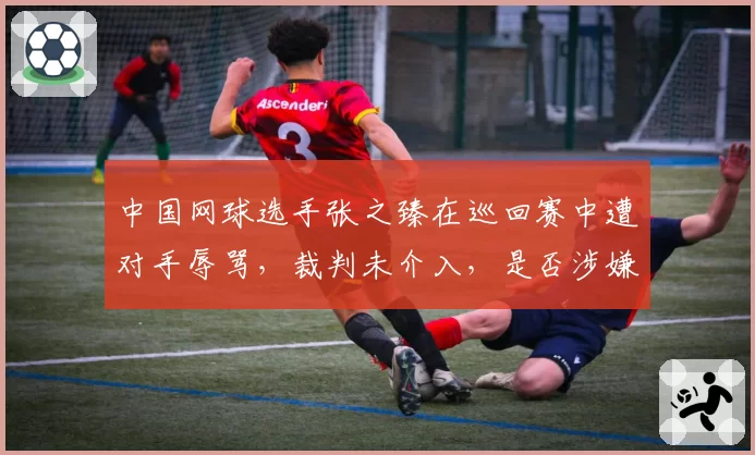 中国网球选手张之臻在巡回赛中遭对手辱骂，裁判未介入，是否涉嫌双重标准？