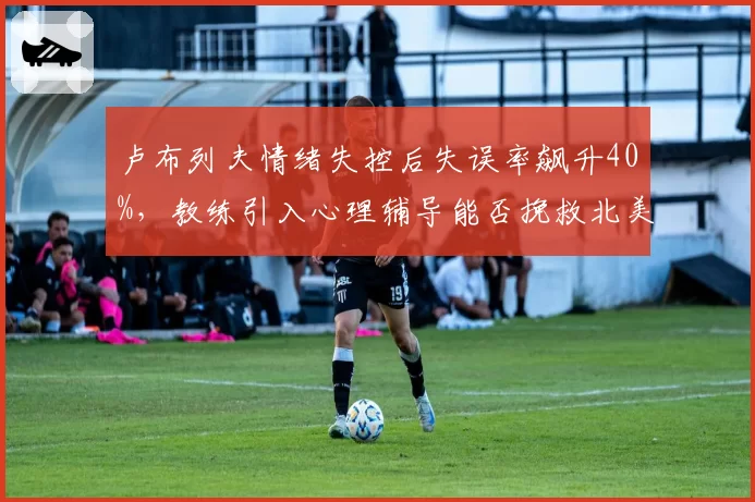 卢布列夫情绪失控后失误率飙升40%,教练引入心理辅导能否挽救北美赛季