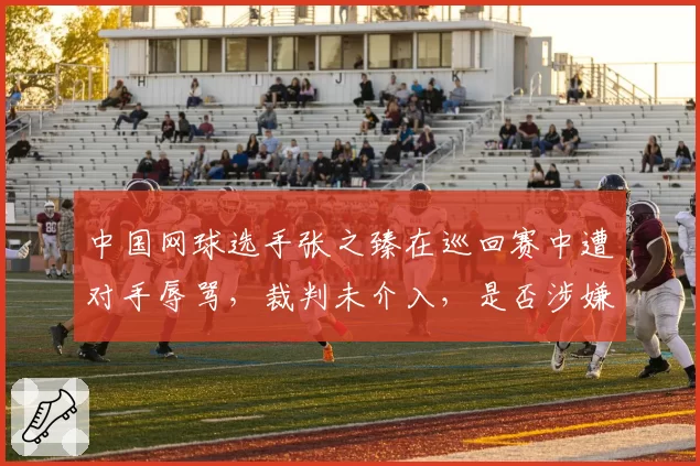 中国网球选手张之臻在巡回赛中遭对手辱骂，裁判未介入，是否涉嫌双重标准？